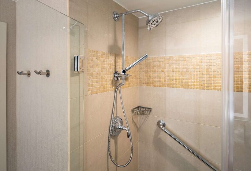 行政套房, Signia By Hilton Orlando An Official Walt Disney World®