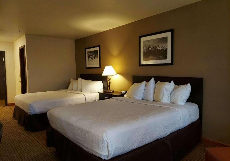 Апартаменты 1 Спальня, Zenitude Hôtel Résidences L Acacia Lourdes