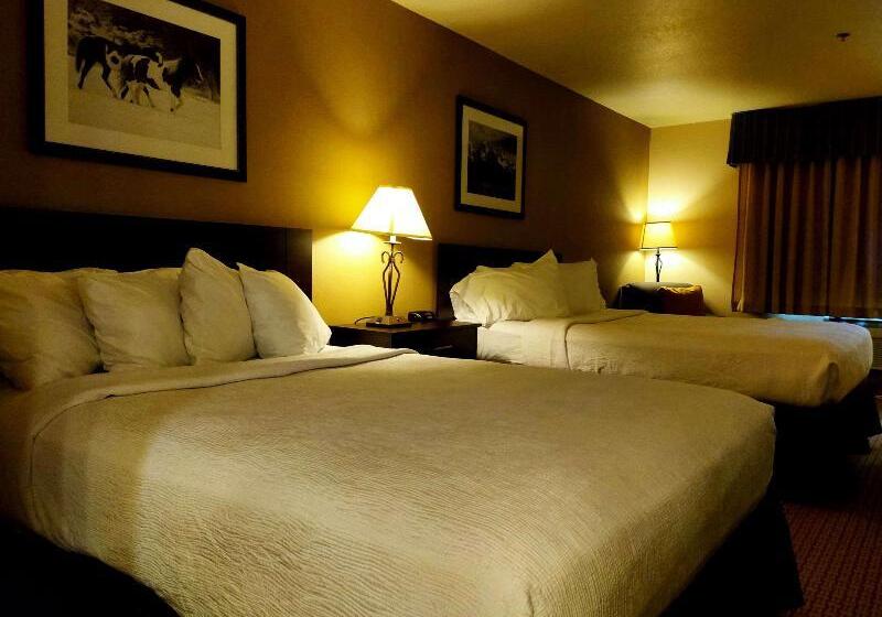 آپارتمان 1 خوابه, Zenitude Hôtel Résidences L Acacia Lourdes