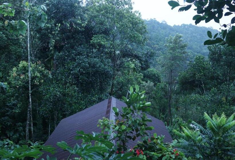 디럭스 룸, Edens Munnar