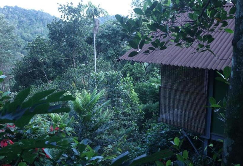 디럭스 룸, Edens Munnar