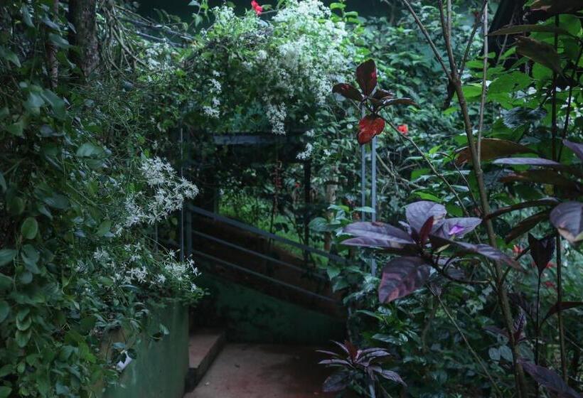 디럭스 룸, Edens Munnar