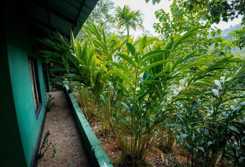 수피리어 스위트, Edens Munnar