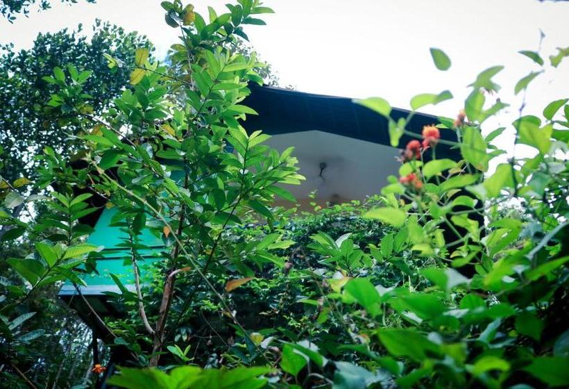 디럭스 룸, Edens Munnar