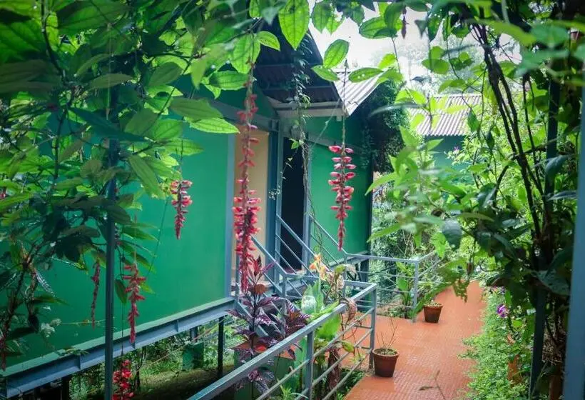Camera Deluxe con Balcone, Edens Munnar