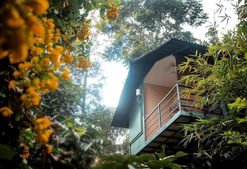 Camera Deluxe con Balcone, Edens Munnar