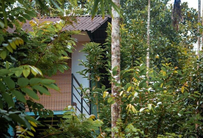 발코니 디럭스 룸, Edens Munnar