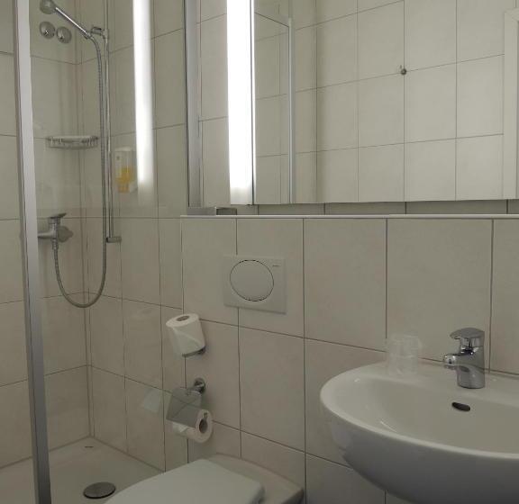 Номер Стандарт Индивидуальный, Airporthotel Grenchen