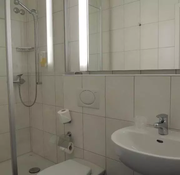 Standard Yhden Hengen Huone, Airporthotel Grenchen