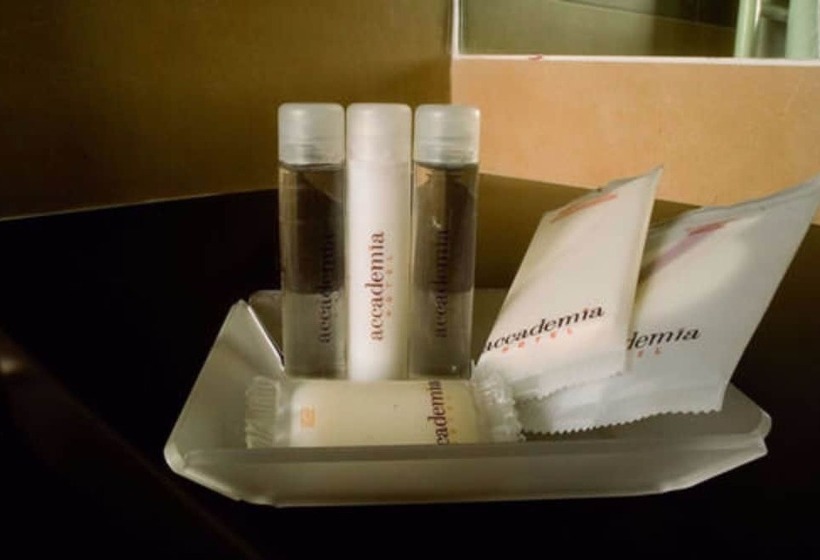 Трехместный Номер Классика, Accademia