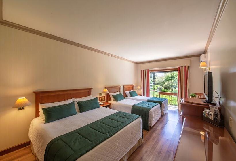 Номер Deluxe, Alpestre