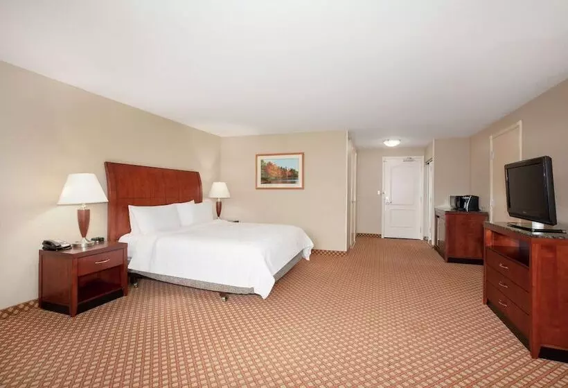 身障者適用スタンダードルーム, Hilton Garden Inn Casper