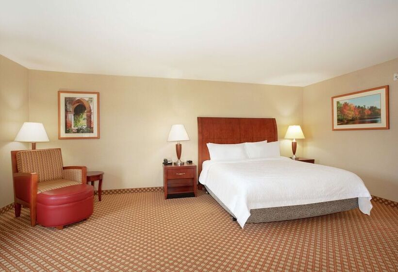 غرفة قياسية لذوى الاحتياجات الخاصة, Hilton Garden Inn Casper