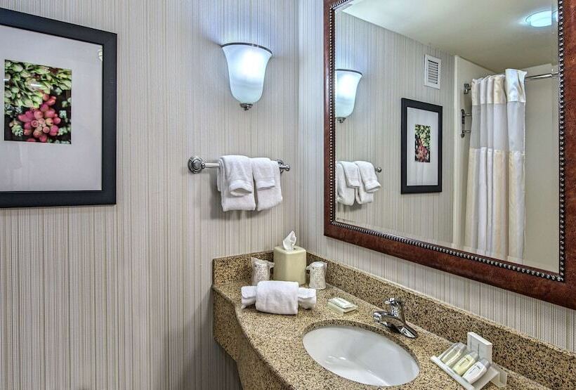 스탠다드 룸, Hilton Garden Inn Huntsville/space Center