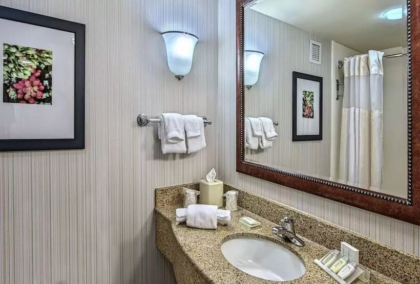 اتاق استاندارد, Hilton Garden Inn Huntsville/space Center