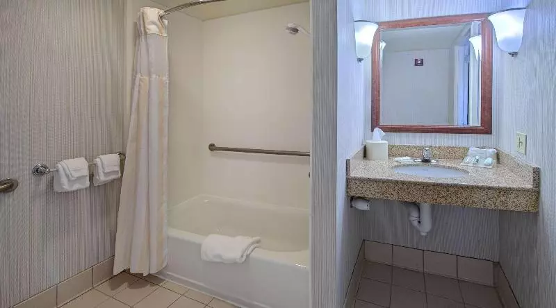 اتاق استاندارد با تخت بزرگ, Hilton Garden Inn Huntsville/space Center