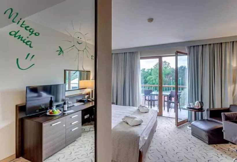 اتاق پرمیوم, Holiday Inn Resort Warsaw Józefów, An Ihg