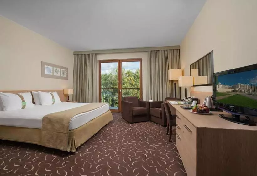 اتاق استاندارد با تخت بزرگ برای معلولان, Holiday Inn Resort Warsaw Józefów, An Ihg