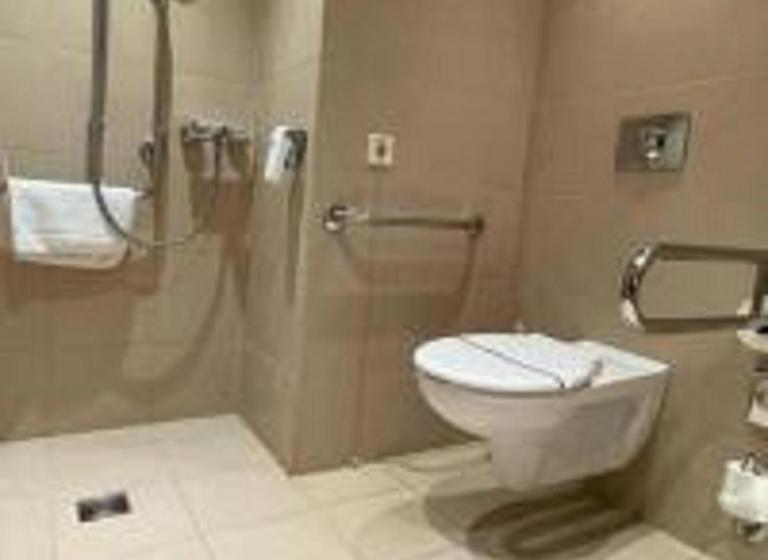 Номер Стандарт Кровать Кинг Адаптированный для Инвалидов, Holiday Inn Resort Warsaw Józefów, An Ihg