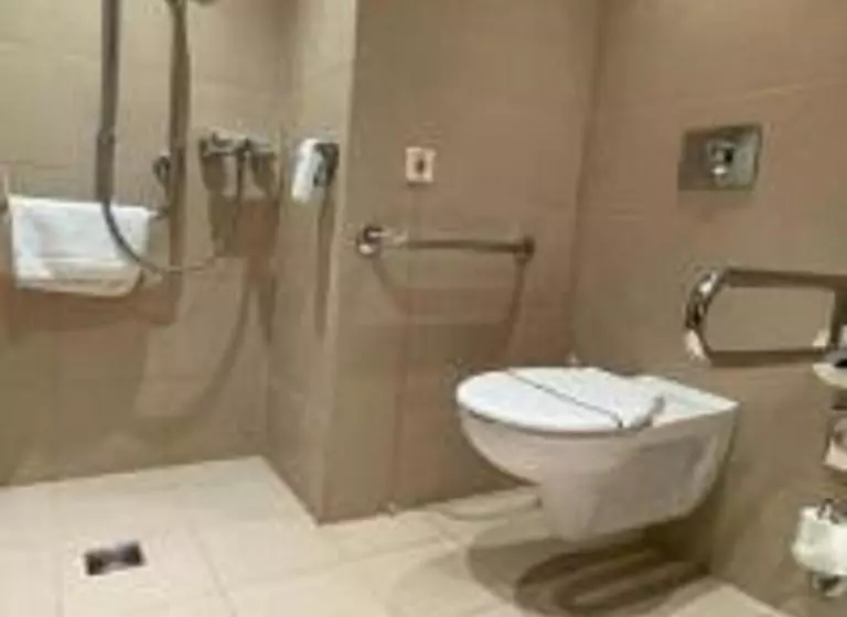 اتاق استاندارد با تخت بزرگ برای معلولان, Holiday Inn Resort Warsaw Józefów, An Ihg