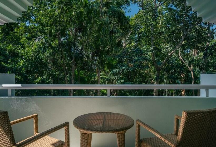 غرفة قياسية, Iberostar Waves Paraíso del Mar