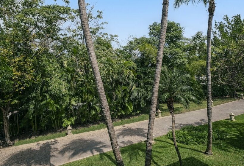 غرفة قياسية, Iberostar Waves Paraíso del Mar