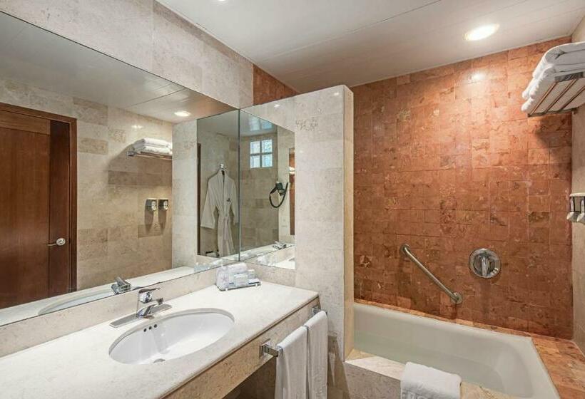 جناح جونيور, Iberostar Waves Paraíso del Mar