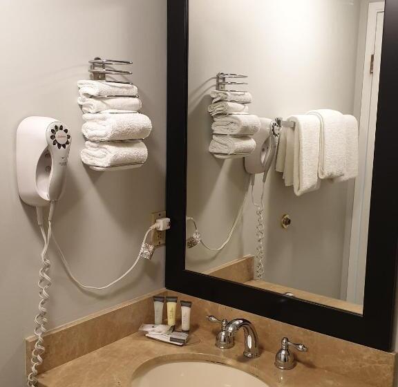 标准间带阳台, Riverland Inn & Suites