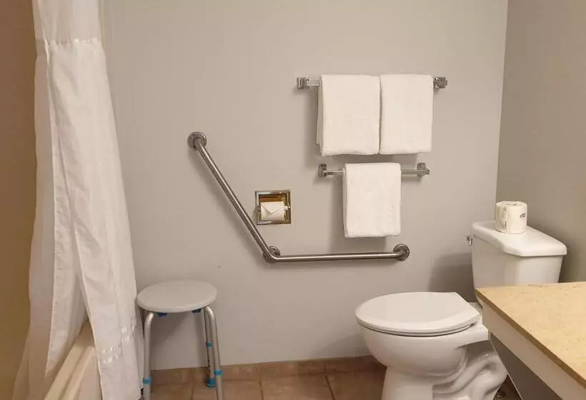 اتاق استاندارد برای معلولان, Riverland Inn & Suites