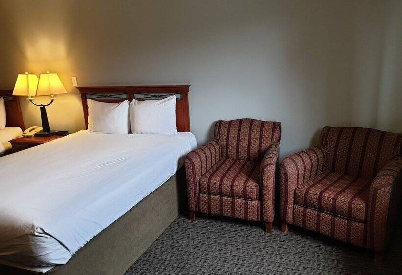 带2个双人床的标准工作室, Riverland Inn & Suites