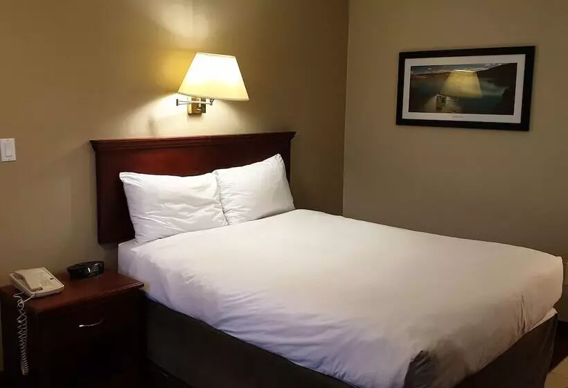 اتاق عادی با تخت دوبل, Riverland Inn & Suites