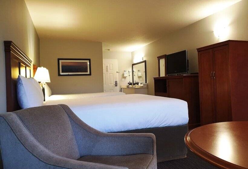 带2个双人床的标准工作室, Riverland Inn & Suites