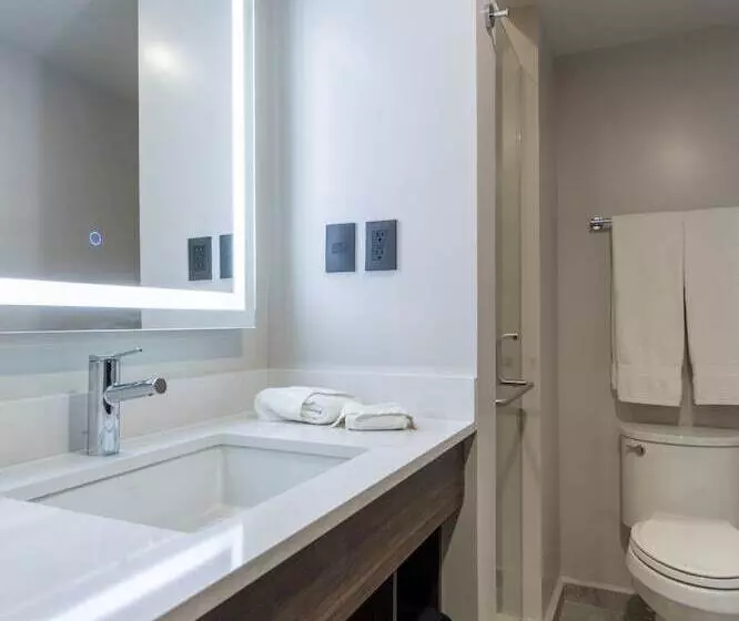 اتاق استاندارد با 2 تخت دوبل, Holiday Inn Express Morelia Centro Historico
