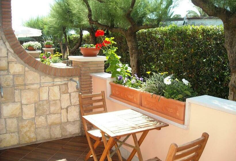 Standart Oda, Loremar