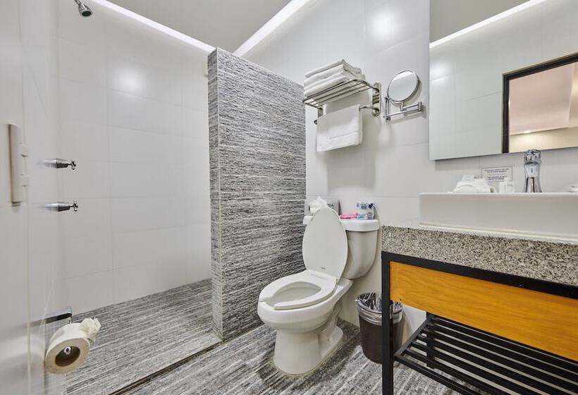 Люкс с гидромассажем, Best Western Plus Gran Hotel Centro Historico