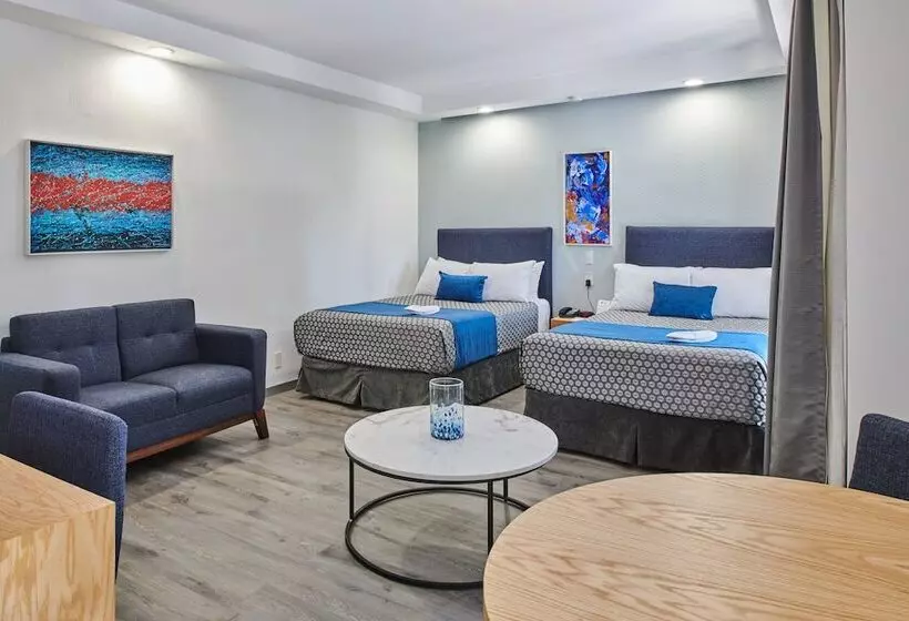 スイート, Best Western Plus Gran Hotel Centro Historico