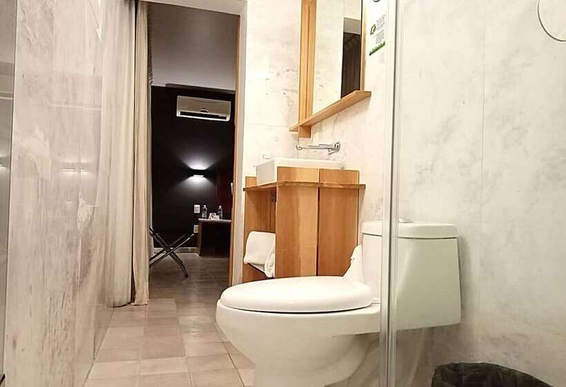 高级大房间, Clarum 101