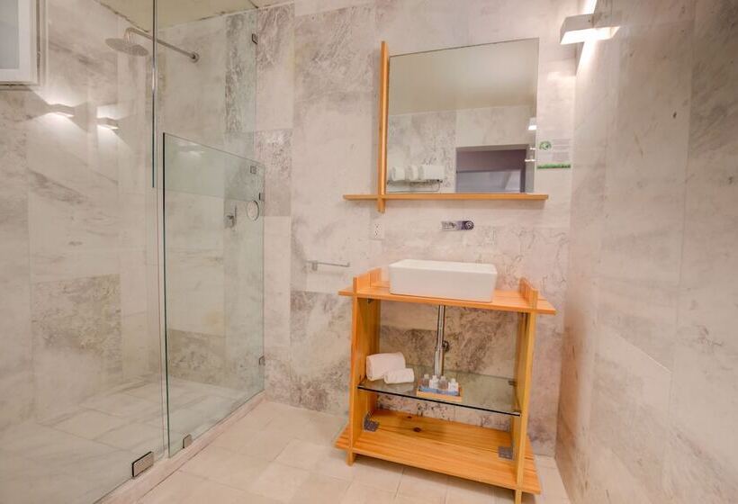 高级大房间, Clarum 101