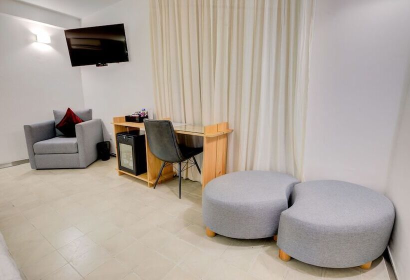 高级大房间, Clarum 101