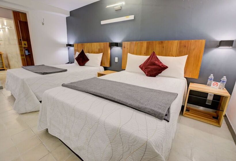 高级大房间, Clarum 101