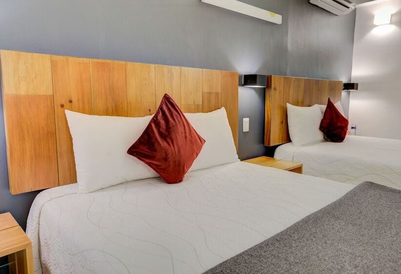 高级大房间, Clarum 101