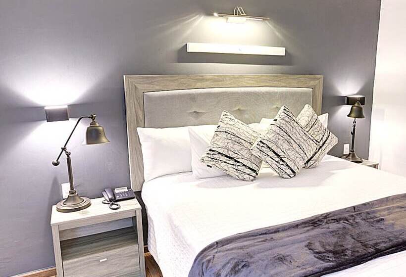 豪华房间, Clarum 101