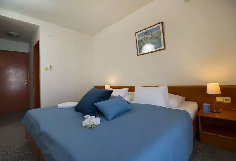 1 Bedroom Comfort Apartment