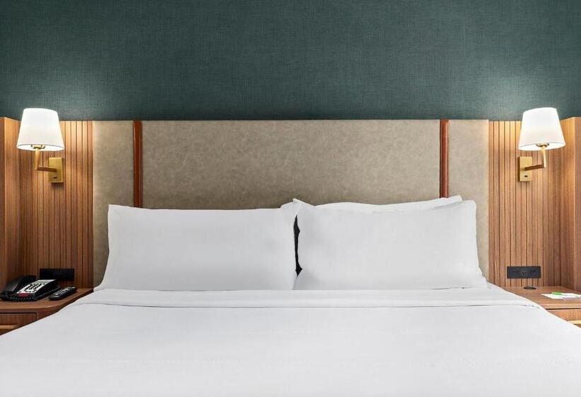 带大床的标准间, Holiday Inn Manhattan 6th Ave Chelsea, An Ihg