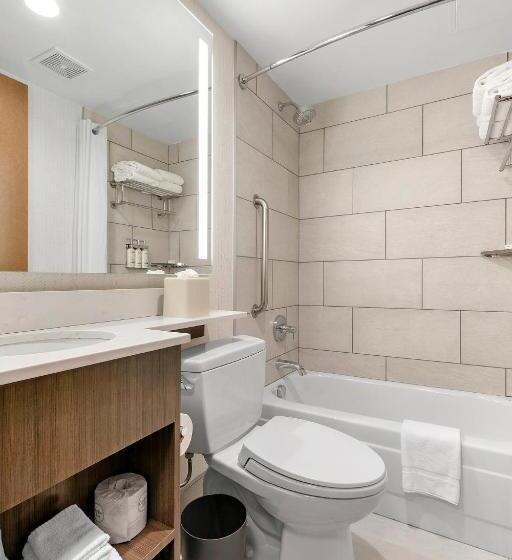 اتاق استاندارد با تخت بزرگ, Holiday Inn Manhattan 6th Ave   Chelsea, An Ihg