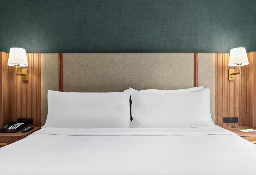 标准间, Holiday Inn Manhattan 6th Ave Chelsea, An Ihg