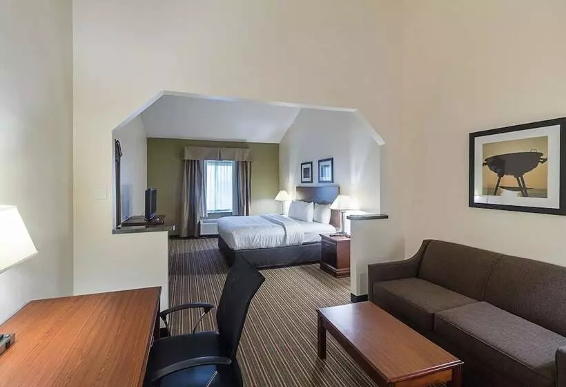 身障者適用スイートルーム, Quality Inn & Suites West Chase