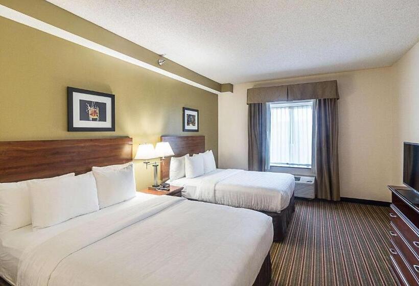 Cameră Standard, Quality Inn & Suites West Chase