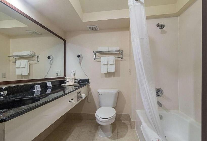 סוויטה מותאמת לאדם עם מוגבלויות, Quality Inn & Suites West Chase