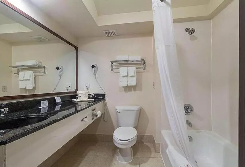 身障者適用スイートルーム, Quality Inn & Suites West Chase